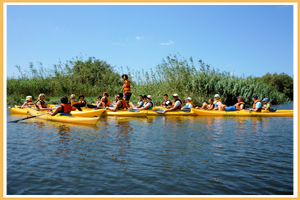 excursions on river valledoria